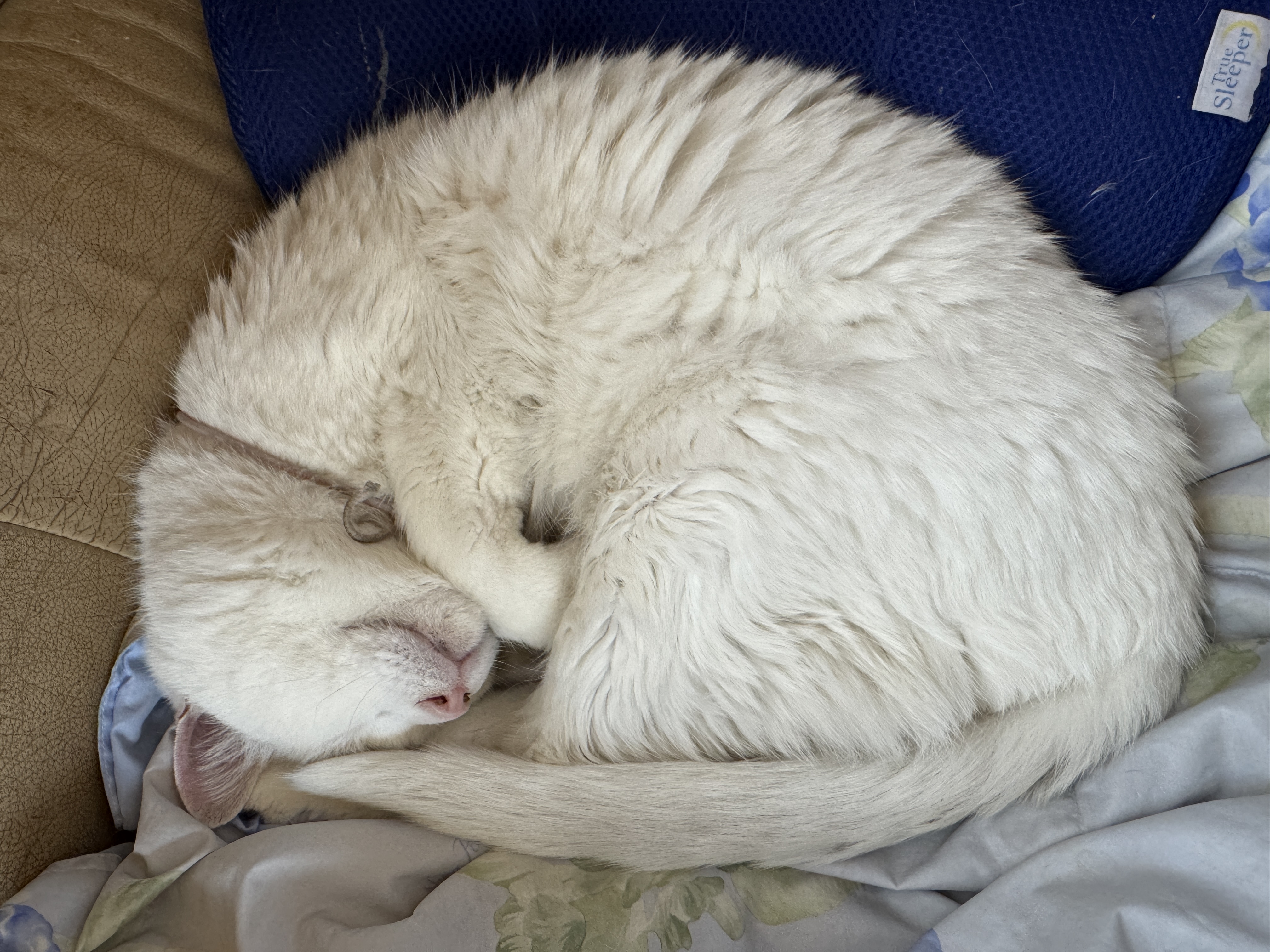 プロフィール写真