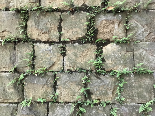 間知石（けんちいし）という擁壁